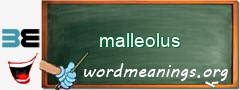WordMeaning blackboard for malleolus